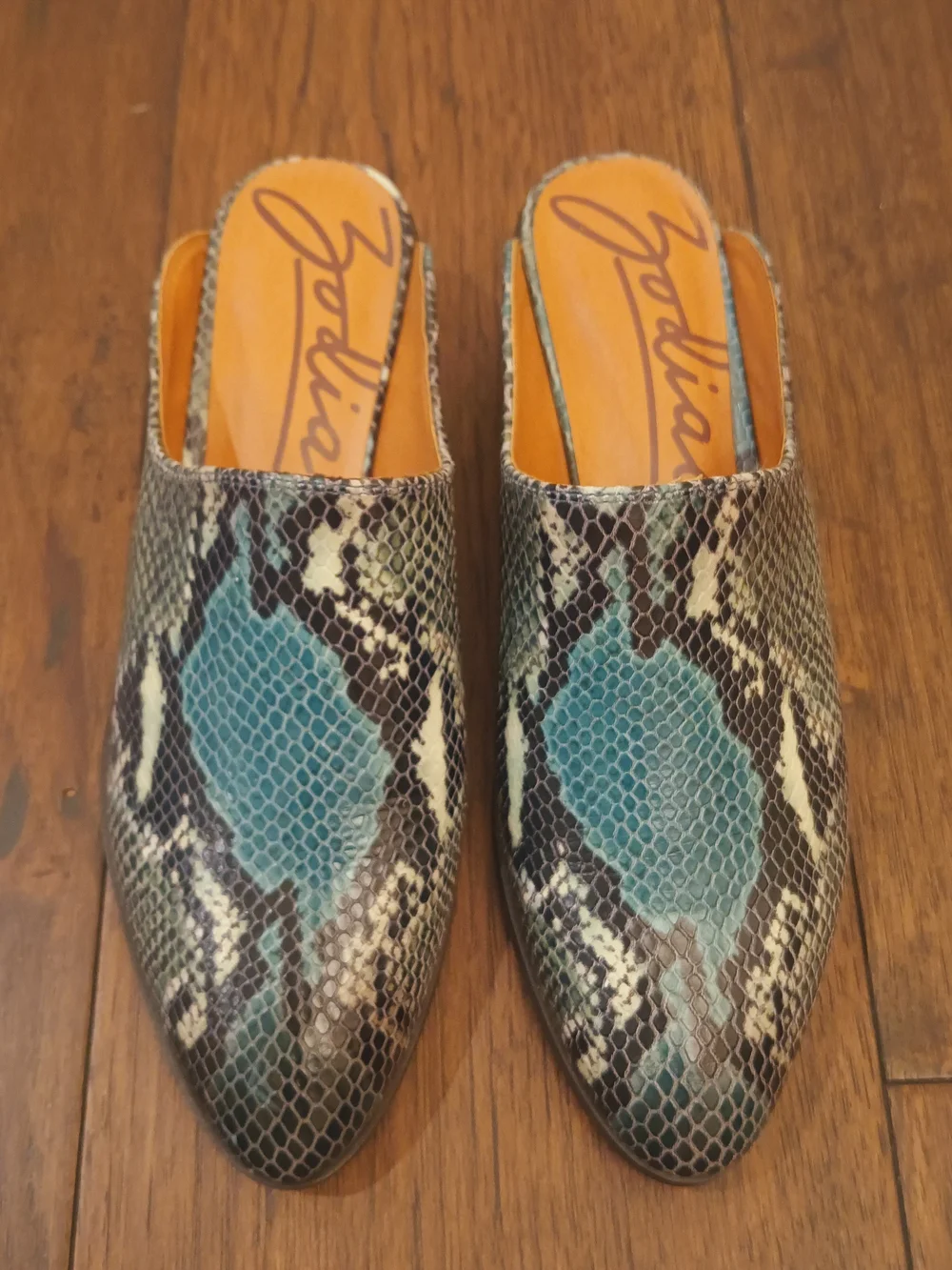 Zodiac Teal and Black Snakeskin Wedge Mules